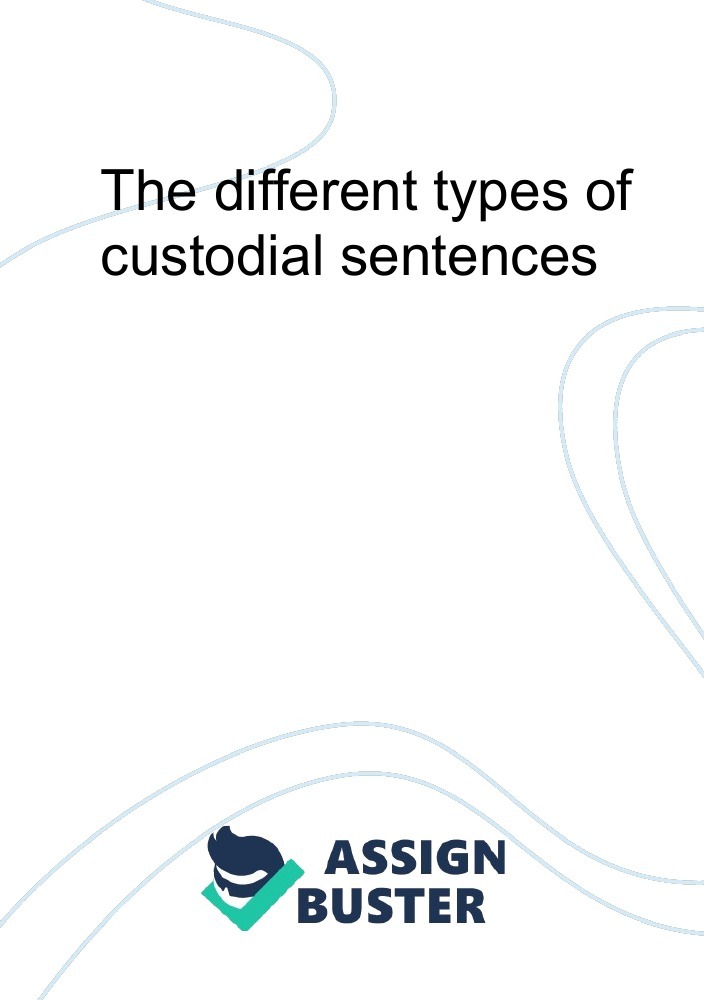 the-different-types-of-custodial-sentences-essay-example-for-1060-words