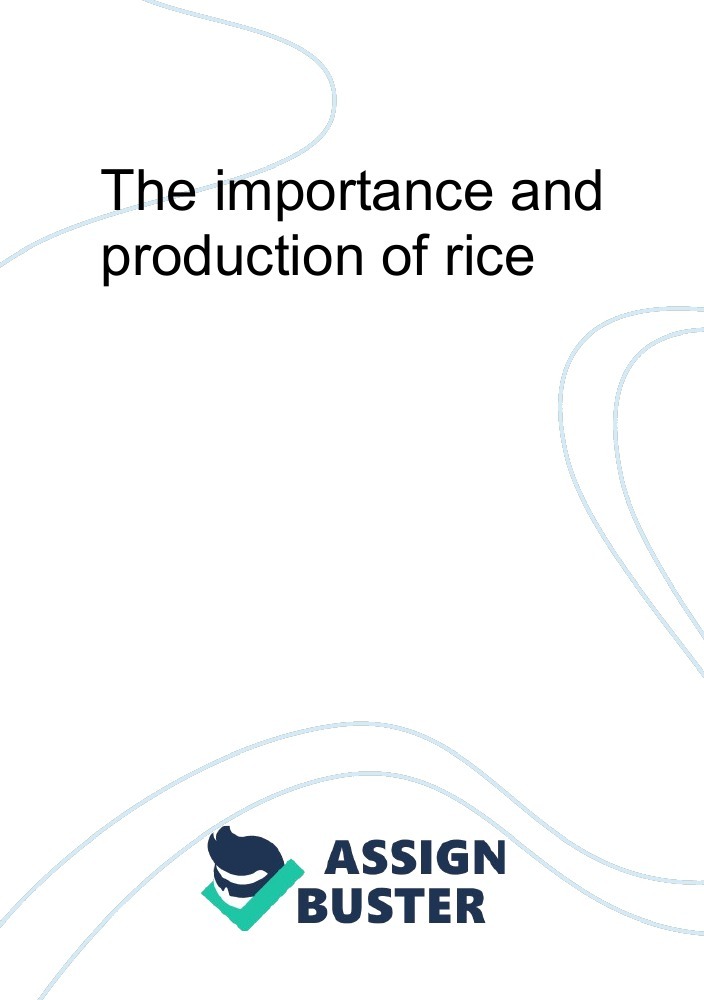 why rice essay example