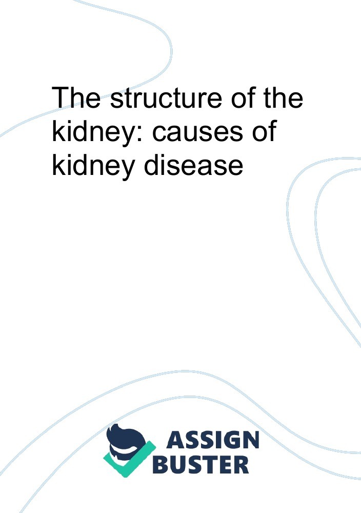 essay about kidney