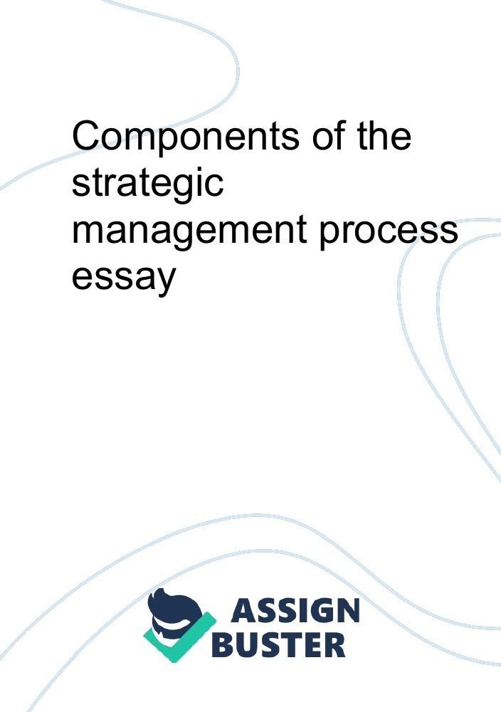 the management process essay