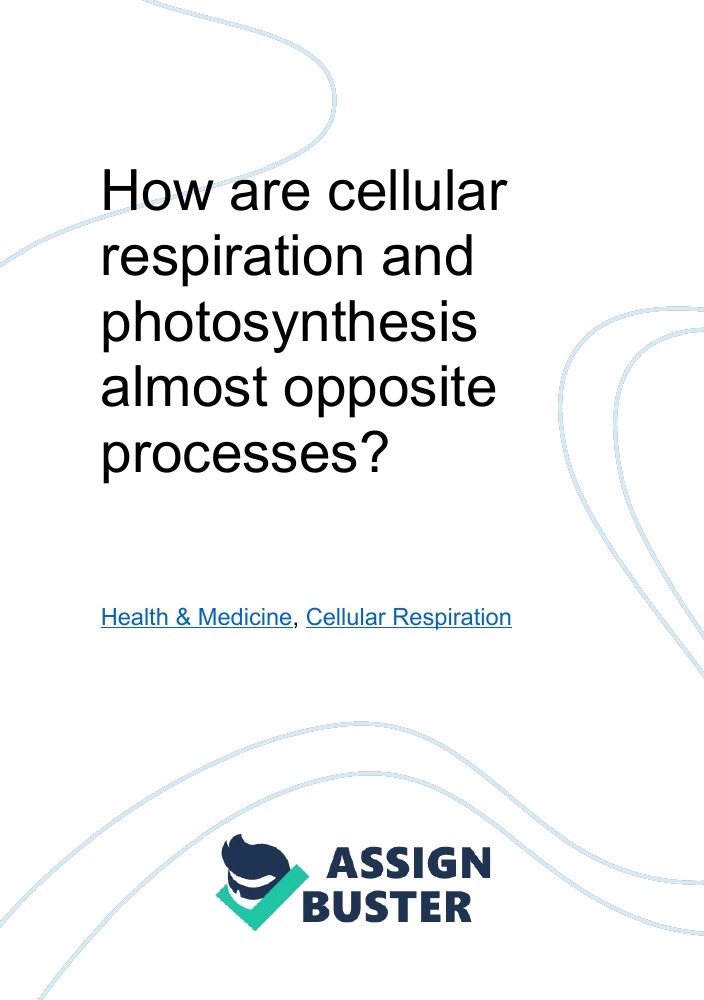 cellular respiration essay