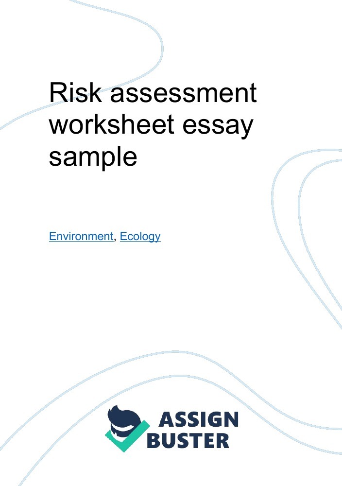 how to write a risk assessment essay
