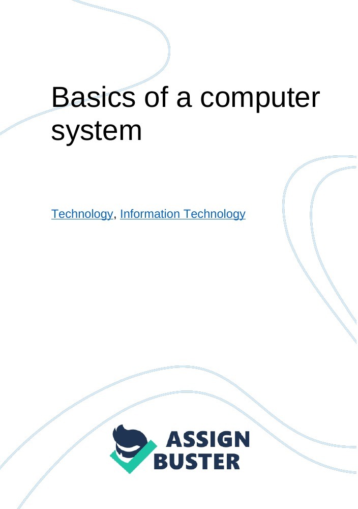 what is a computer system essay