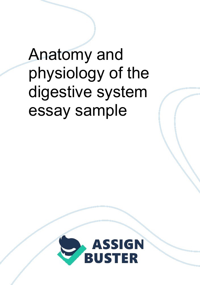 digestive system essay example