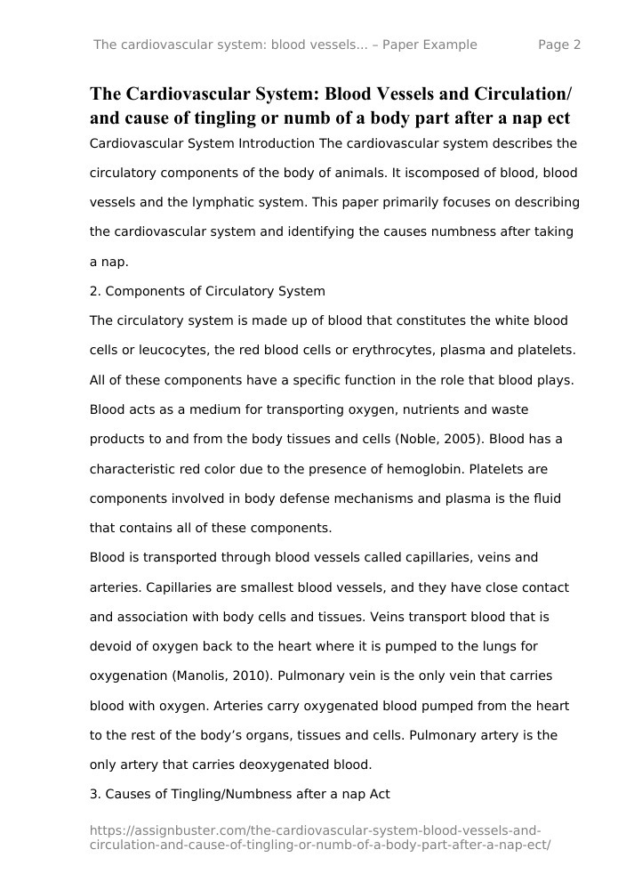 essay on blood circulation